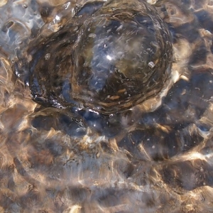 Quelle-Wasserspiel